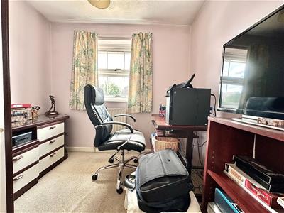 Picture 13